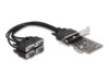 DeLock Seriel adapter PCI Express 2.0 x1