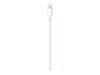 Apple Lightning-kabel 2m Hvid