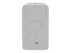 Hikvision DS-QAE0420G1-V Højttaler Hvid