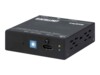 Intellinet Video/audio ekspander