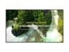 LG 65UL3Q-E 65' Digital skiltning 3840 x 2160