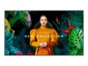 Samsung QH50C 50' Digital skiltning 3840 x 2160