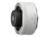Sony SEL20TC Adapter