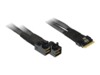 Inter-Tech Serial Attached SCSI (SAS) internt kabel Sort 75cm