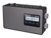 Panasonic RF-D10EG DAB bærbar radio Sort