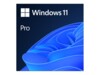 Windows 11 Pro