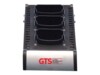 GTS Batterioplader
