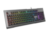 GENESIS Rhod 500 RGB Tastatur Membran Membran RGB Kablet Portugisisk