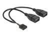 Delock USB intern til ekstern kabel 20cm