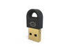 CONCEPTRONIC Bluetooth Adapter 5.3 NanoUSB 10- 20m schwarz