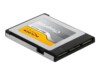 DeLOCK CFexpress card 256GB 1550MB/s