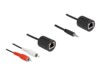 Delock Audioadapterkit Sort