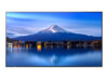P556 55IN UHD LFD D-LED