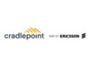 Cradlepoint NetCloud Enterprise Branch Essentials + Advanced Plan Online & komponentbaserede tjenester 5 år