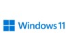 Windows 11 Pro Finsk