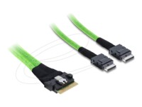 Delock Serial Attached SCSI (SAS) internt kabel Sort Grøn