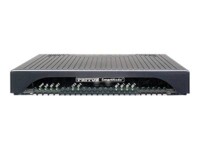 Patton SmartNode 4131 VoIP-gateway Ethernet ISDN Fast Ethernet Sort