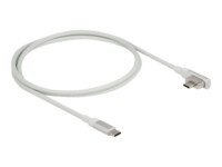 Delock USB Type-C kabel 1.2m Sølv Hvid