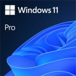 Windows 11 Pro Retail ESD Multi-language Rebuy