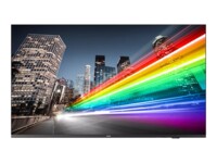 Philips 55BFL2214 55' Digital skiltning 3840 x 2160