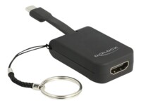 DeLOCK Ekstern videoadapter