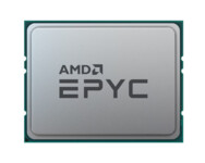 AMD EPYC 4464P 3,7 GHz 12 kerner AM5 TRAY - u/køler