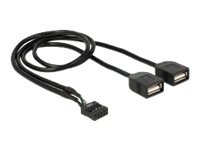 Delock USB intern til ekstern adapter 40cm Sort