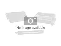 Epson T6039 Meget lys sort Blæk C13T603900