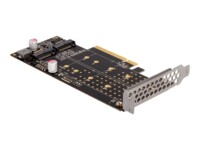 DeLOCK PCI Express x8 Card to 2 x internal NVMe M.2 Key M - Bifurcation Lagringskontrol