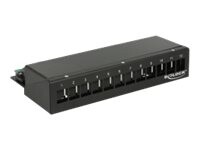 Delock Keystone Desktop Patch Panel Sort