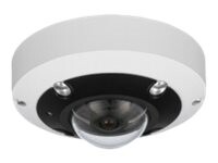 LevelOne FCS-3095 Panoramakamera