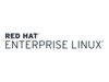 Red Hat Enterprise Linux Linux 2 gæster 3 år