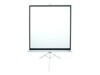 Elite Tripod Series T85NWS1 85' Matte White