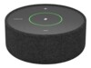 Jabra Panacast SpeakerMic Konferencetelefon Kablet