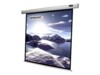 Celexon Economy Manual Screen 111'