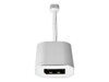 Nedis Fabritallic USB / DisplayPort adapter 20cm