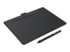 Wacom Intuos Creative Pen Small Sort