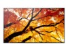 Sharp MultiSync EA272Q 27' TFT/IPS 2560 x 1440 (2K) HDMI DisplayPort 60 Hz