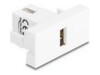 Delock Easy 45 Module USB 2.0 Type-A female to USB 2.0 Type-A female white