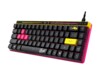 ASUS ROG Falchion Ace HFX ZywOo Edition Tastatur Magnetic-mechanical key switch RGB Kablet US International