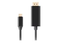 Lanberg USB-C / DisplayPort adapter 3m Sort