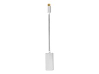 Nedis Fabritallic USB / DisplayPort adapter 20cm Sølv