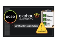 4DAY INSTR LED MULT CHOIC LICS