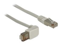 DeLOCK CAT 6a Afskærmet parsnoet kabel (SSTP) 50cm Patchkabel Grey
