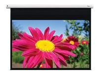 Optoma DE-1123EGA 123' Matte White