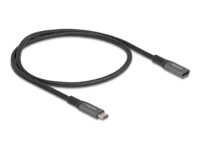 DeLOCK USB 3.1 USB Type-C forlængerkabel 0.5m Sort Grå