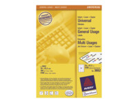 Avery Etiketter 42.3 x 70 mm 2100etikette(r)