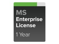 Cisco Meraki Enterprise Online & komponentbaserede tjenester 1 år