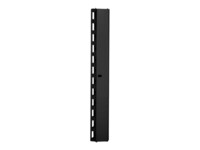 DIGITUS Professional DN-19 ORG-42U Rack-kabel styrepanel Sort