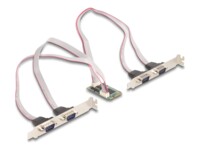 DeLock Seriel adapter RS-232